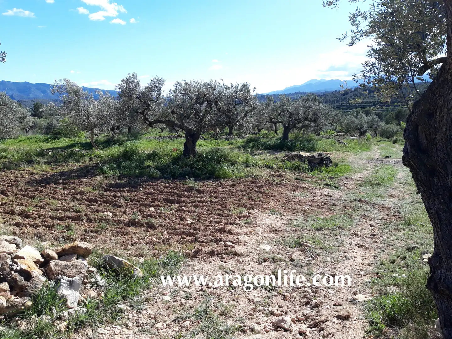 Rural land for sale in C-43, imagen 7
