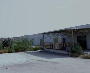 Exterior view of Industrial buildings for sale in Fortuna