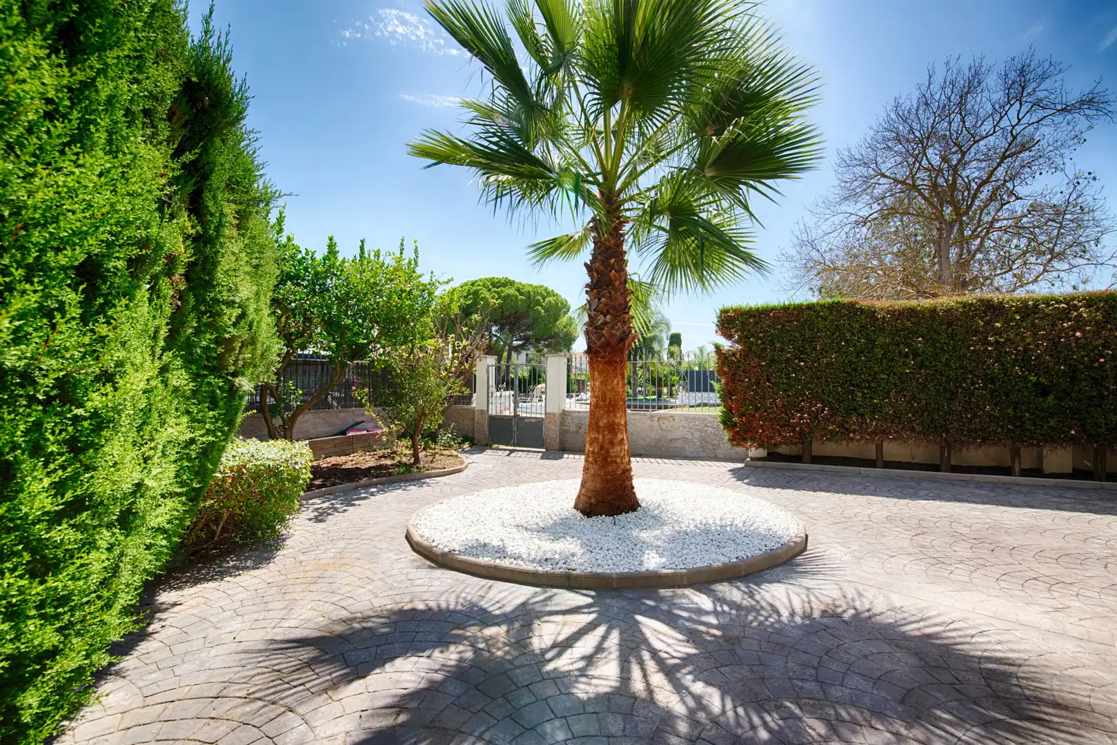 Casa con piscina in vendita a Cap Ras - Creus - Falconera, imagen 6