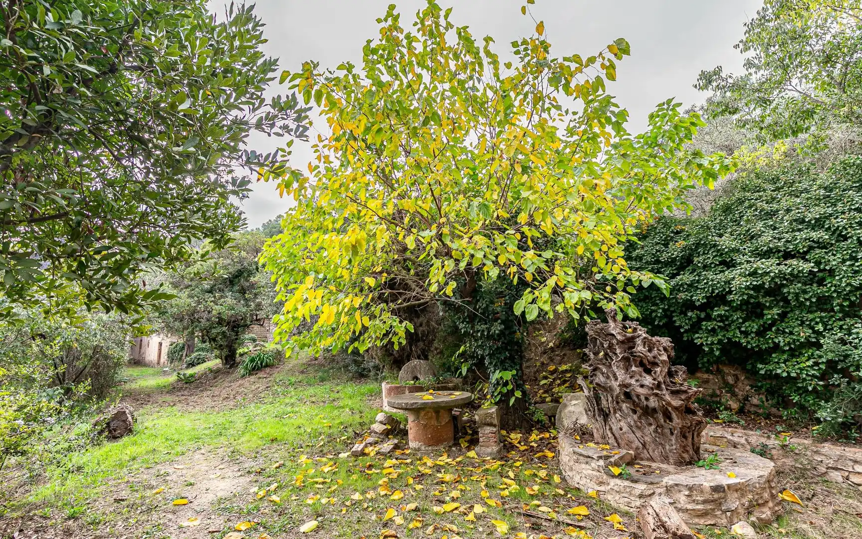 Jardín de Casa o chalet en venta en Sant Andreu de la Barca