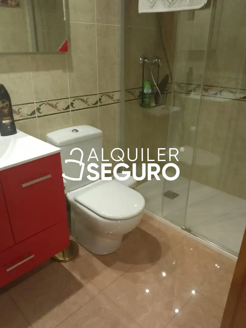 Piso con ascensor en alquiler en REINA SOFIA, imagen 10