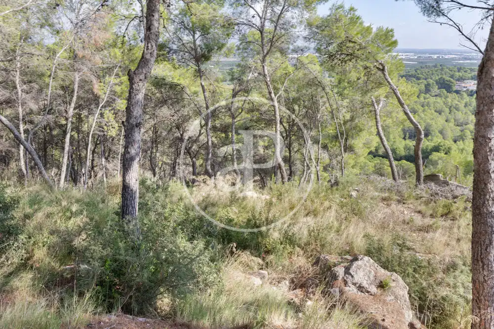Terreno residenziale in vendita a El Bosque, imagen 10
