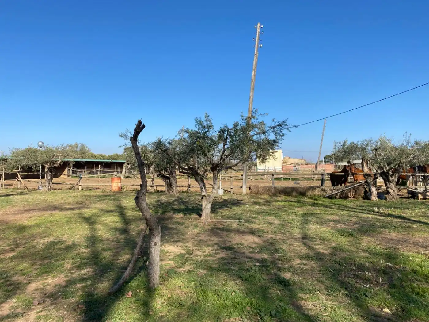Casa en venta en Plaça de la Pastoreta 1P, imagen 17