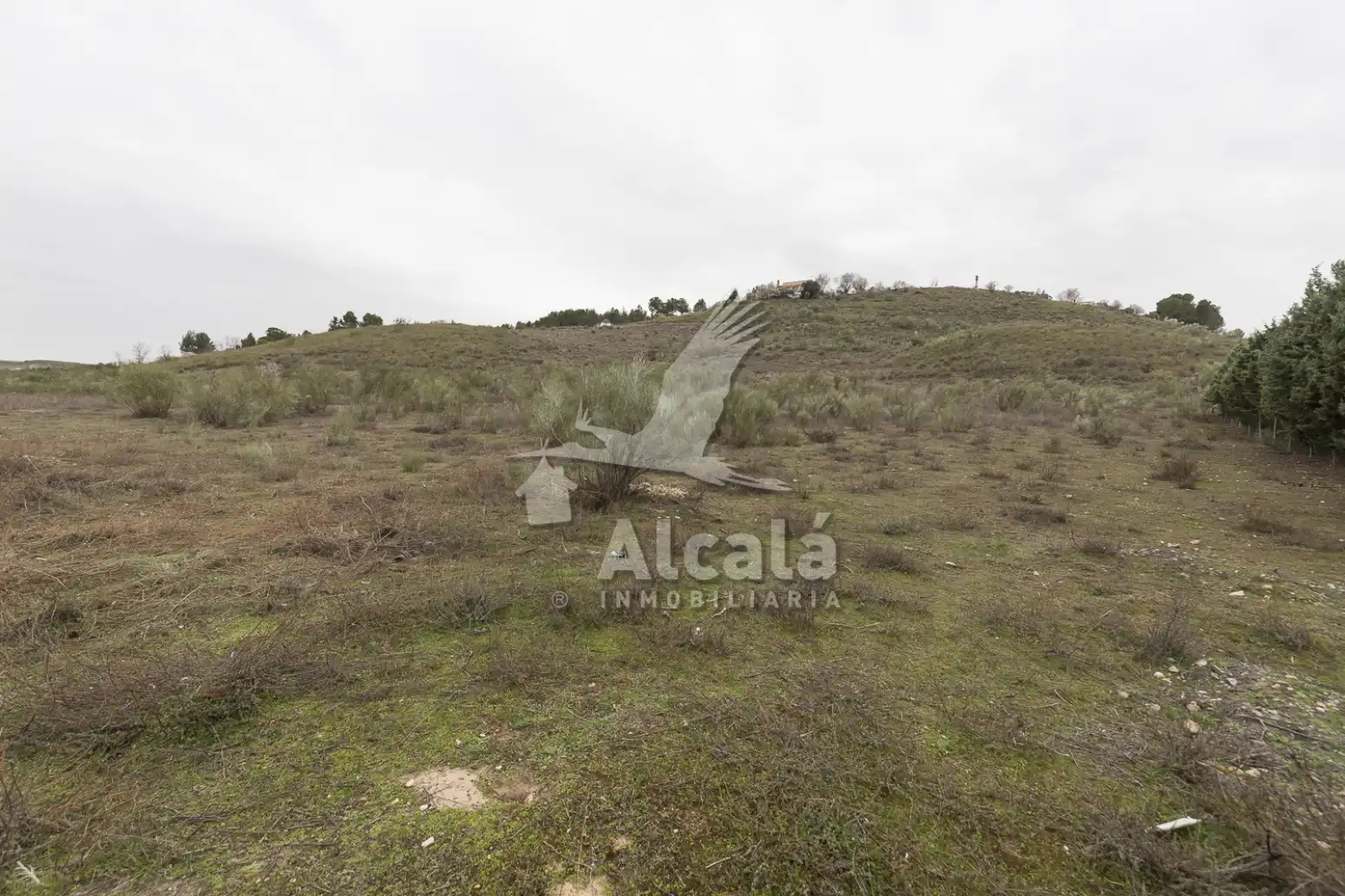 Terreny residencial en venda a Illana, imagen 13
