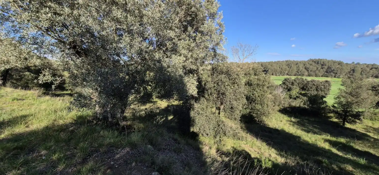 Residencial en venta en Ullastret