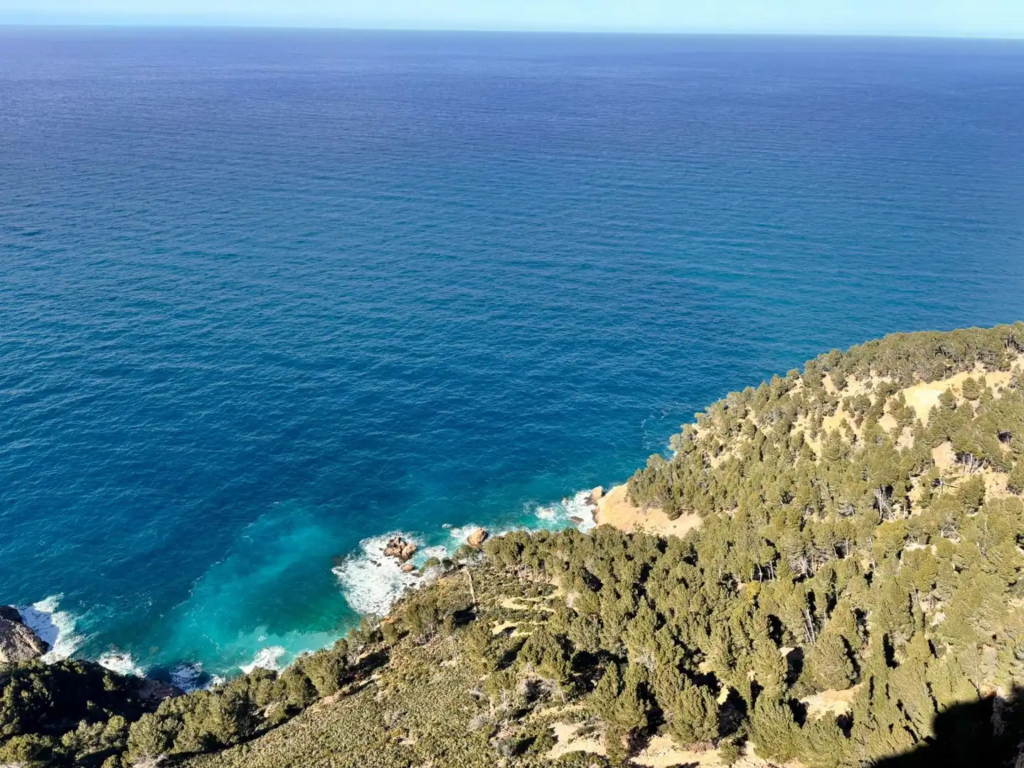 Land for sale in Estellencs