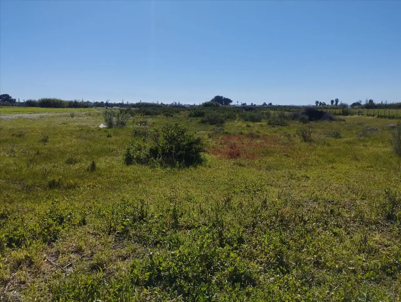 Residencial en venda en Chipiona