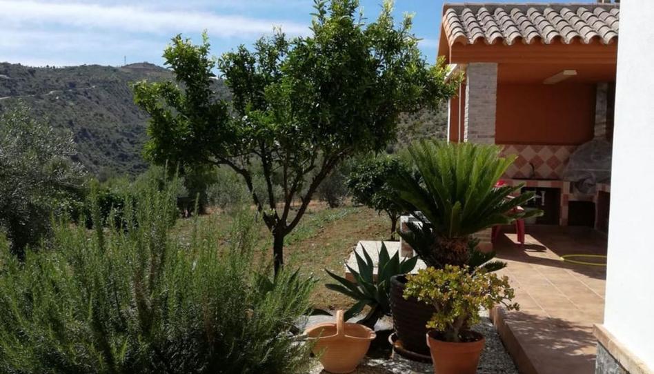 Foto 1 de Finca rústica en venda a  Polígono 6, Guaro, Málaga