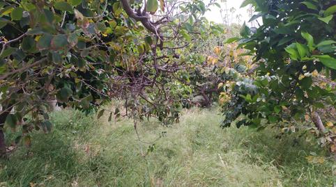 Foto 5 de Finca rústica en venda a N/a, -1, Capistrano, Málaga