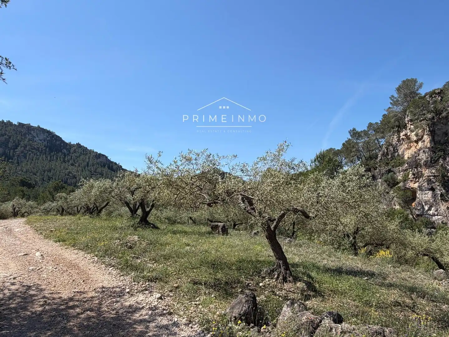 Terreno rústico en venta en L'Ametlla de Mar pueblo, imagen 19