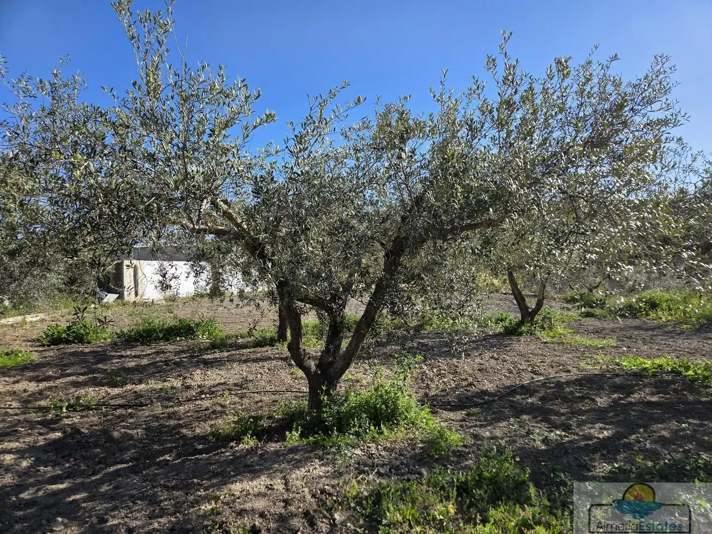 Detached house for sale in Albox, imagen 38