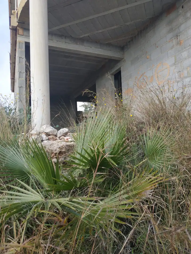 Villa mit Terrasse zum Verkauf in Urbanización los Lagos 116, imagen 10