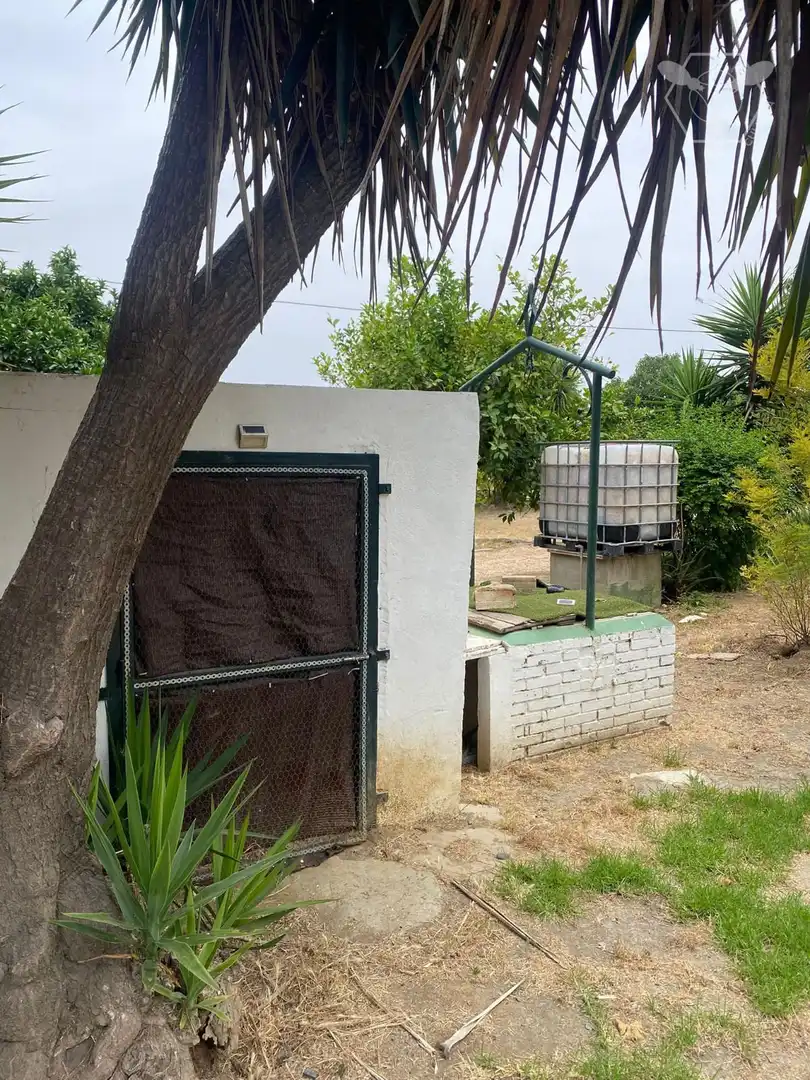 Vista exterior de Casa o chalet en venta en Gibraleón