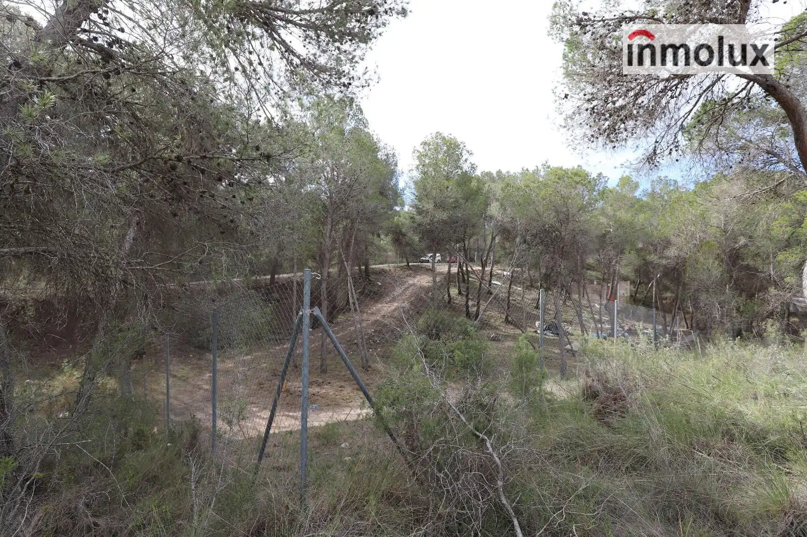 Terreno en venta en Tibi