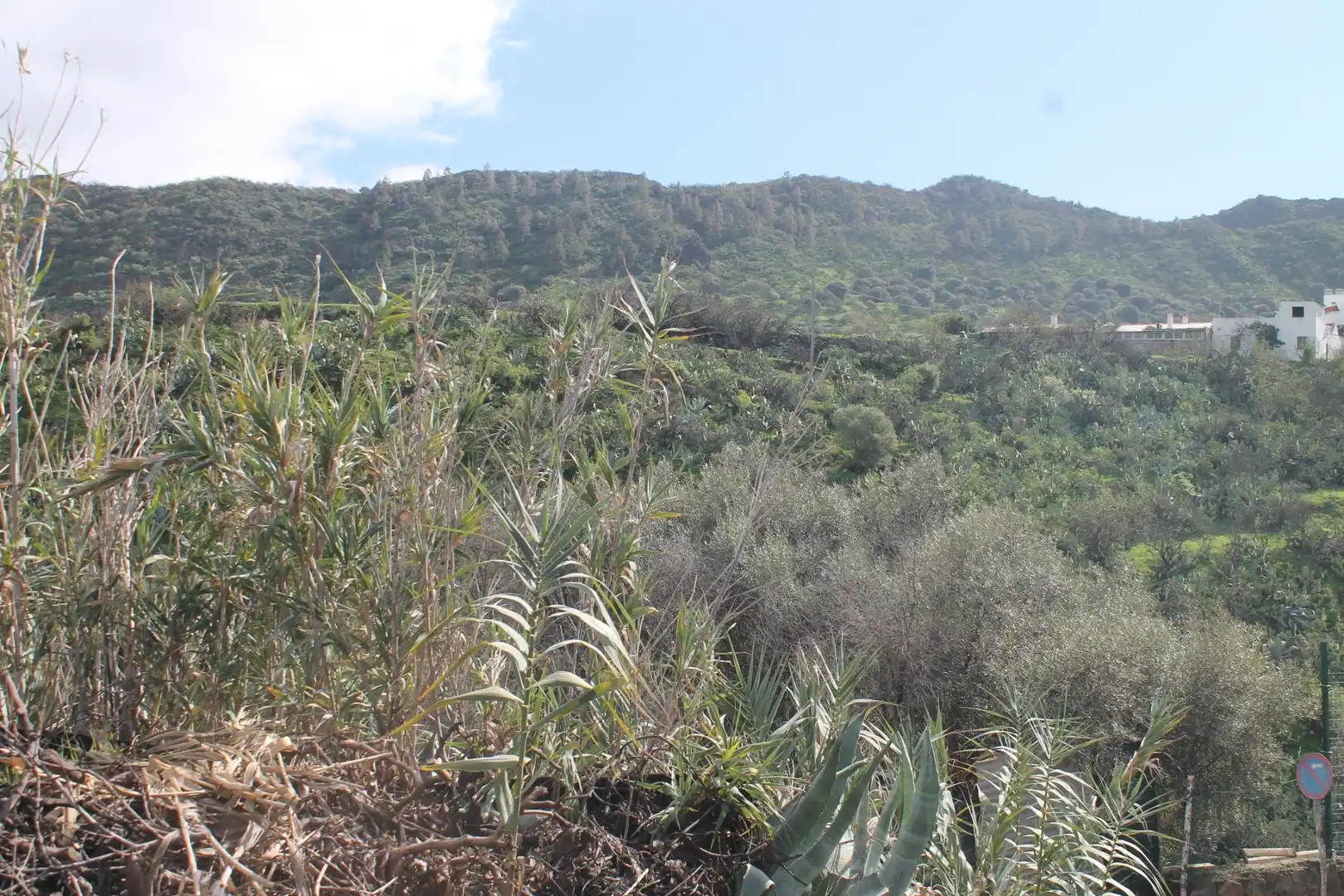 Terreny rústic en venda a Valsequillo de Gran Canaria, imagen 8