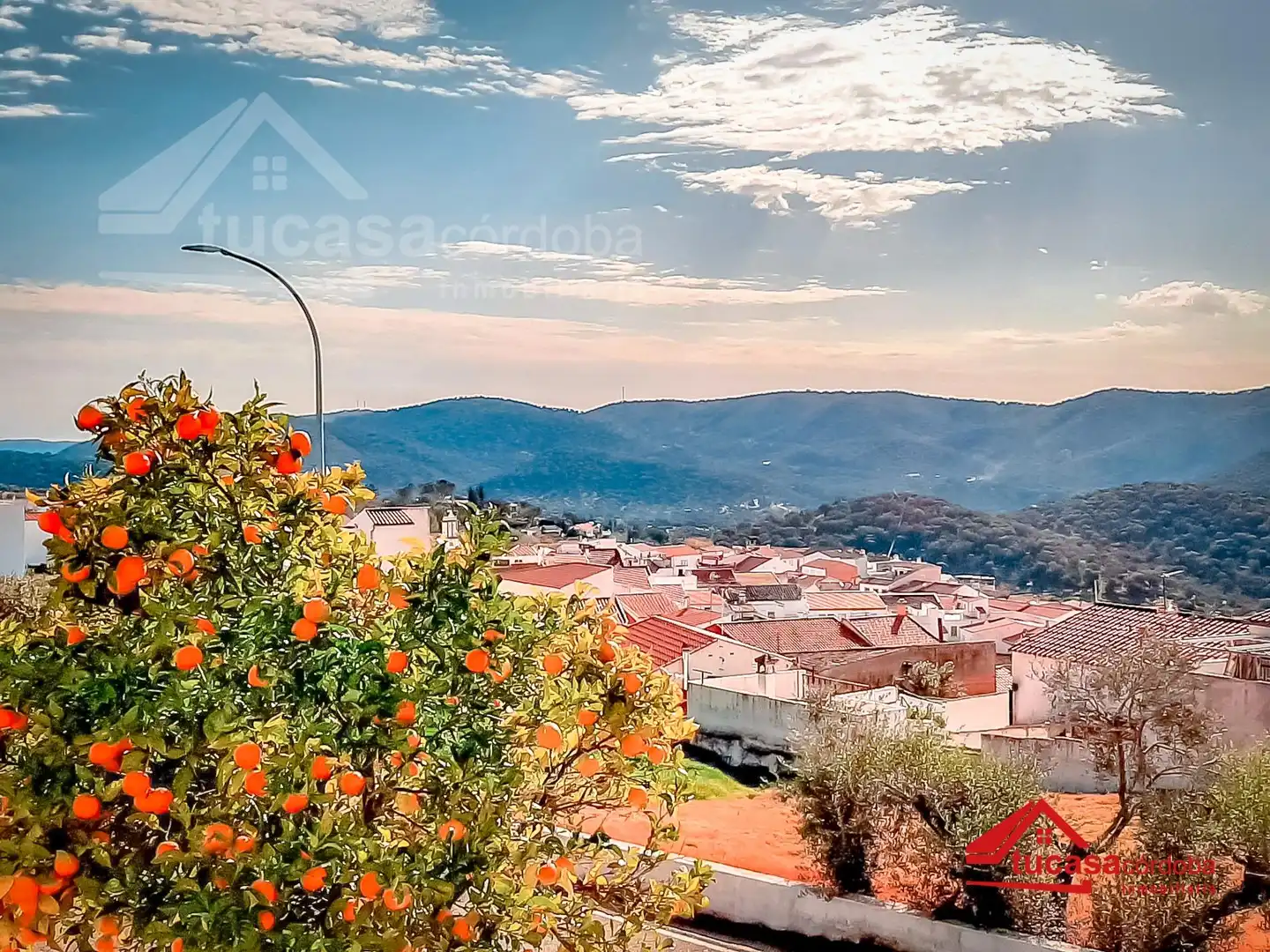 Country homes for sale in Villaharta