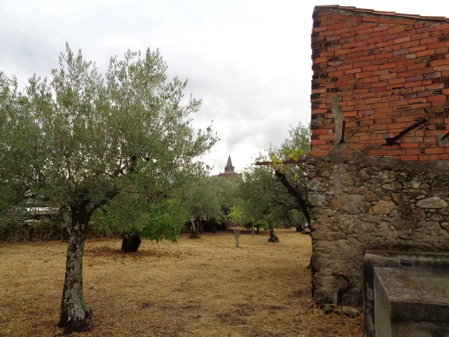 Residential for sale in Carretera de Pasaron, Tejeda de Tiétar