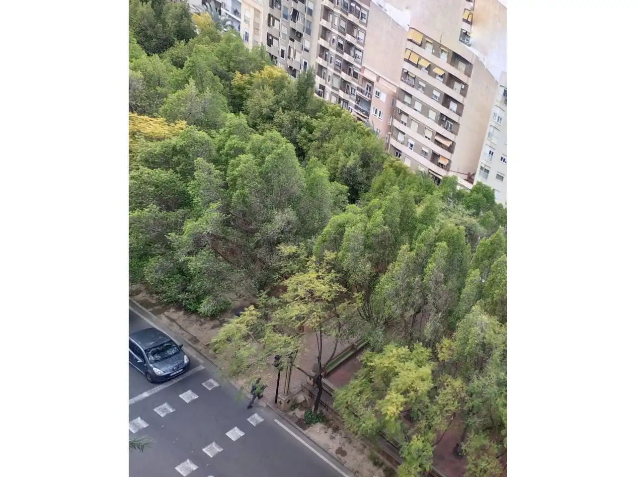Wohnung mit Terrasse zum Verkauf in Calle Capità Baltasar Tristany, imagen 36