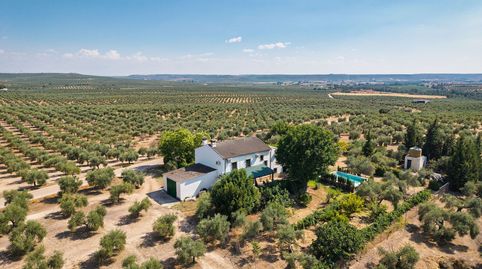 La Aragonesa  Una auténtica finca andaluza con historia y carácter