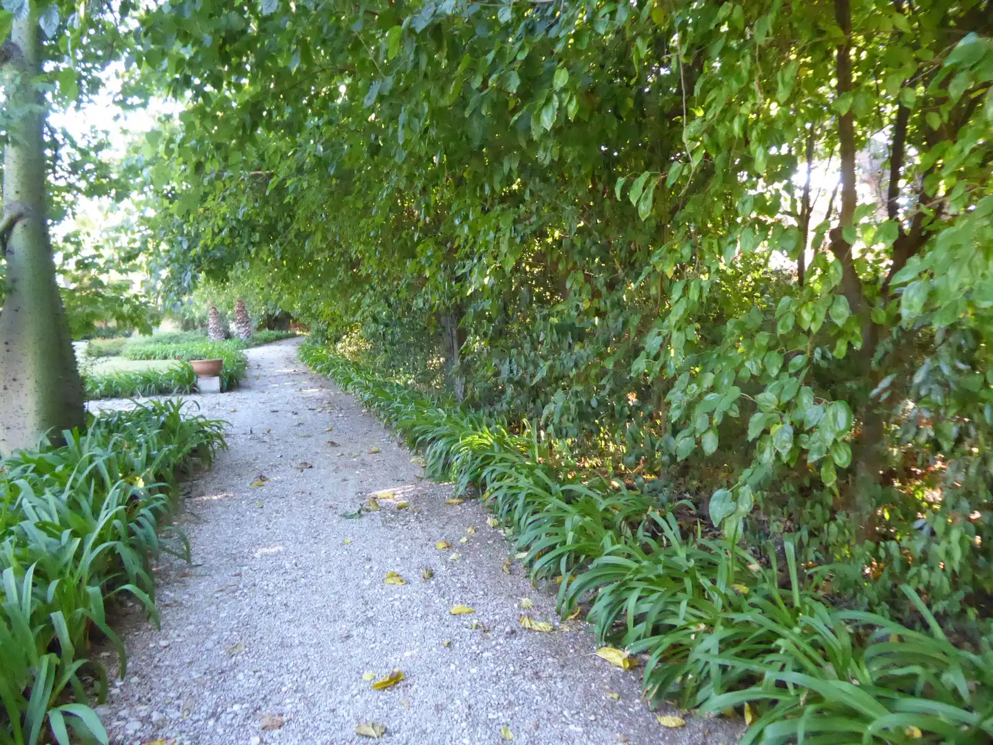 Jardí de Casa o xalet en venda en Beniarbeig