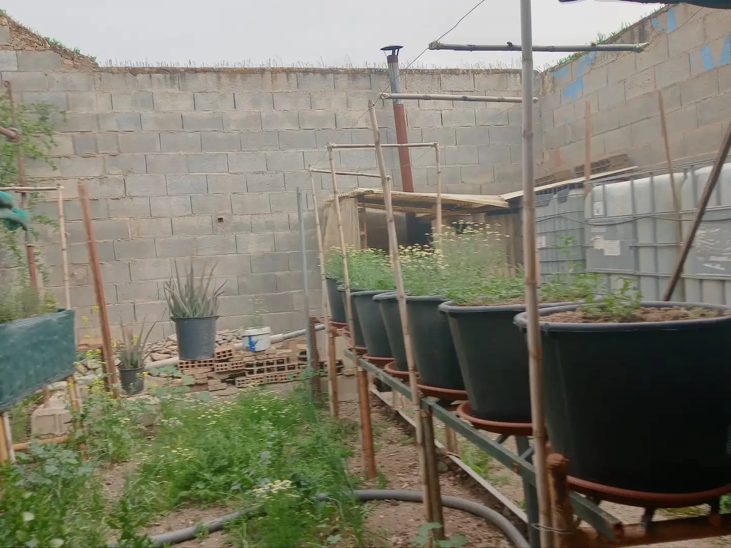 Casa en venda a Pinos Puente, imagen 11