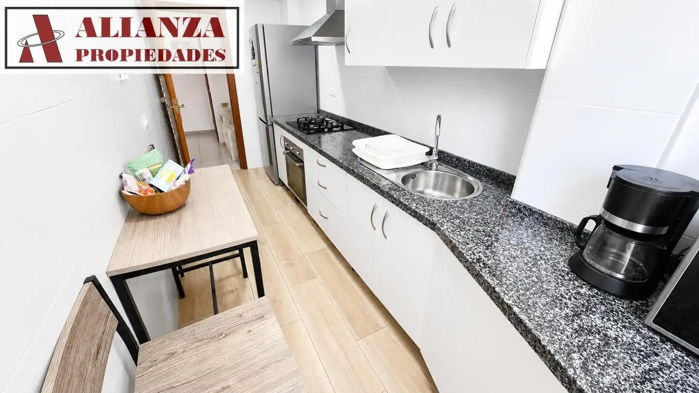 Kitchen of Flat for rent in Málaga  with Air Conditioner, Terrace and Furnished