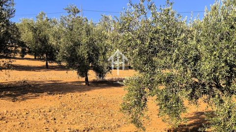 Foto 3 von Grundstücke zum Verkauf in Loja, Granada