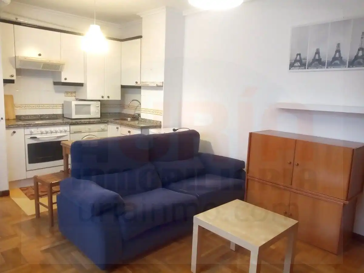 Sala d'estar de Apartament de lloguer en Oviedo  amb Calefacció, Parquet i Moblat