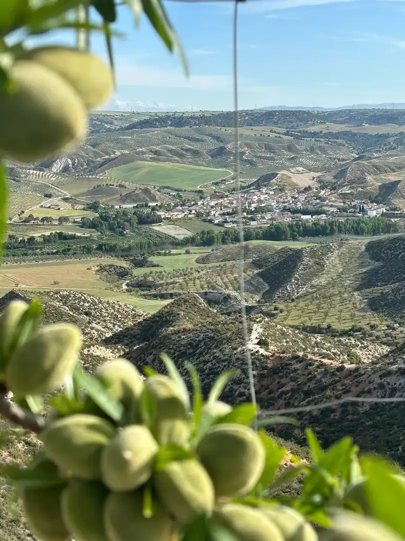 Vista exterior de Casa adosada en venta en Alamedilla con Calefacción y Terraza