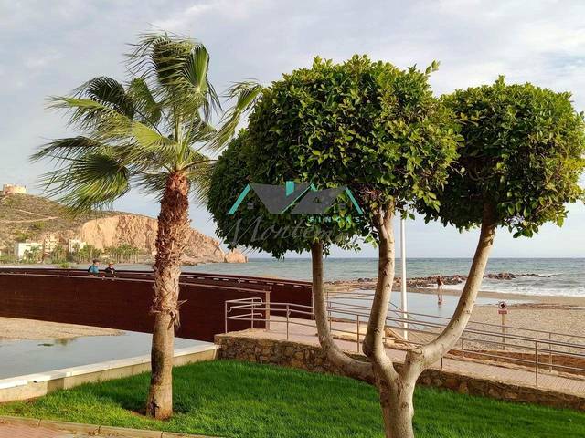 Planta baja en Alquiler en Iberia en Las Lomas - Las Yucas