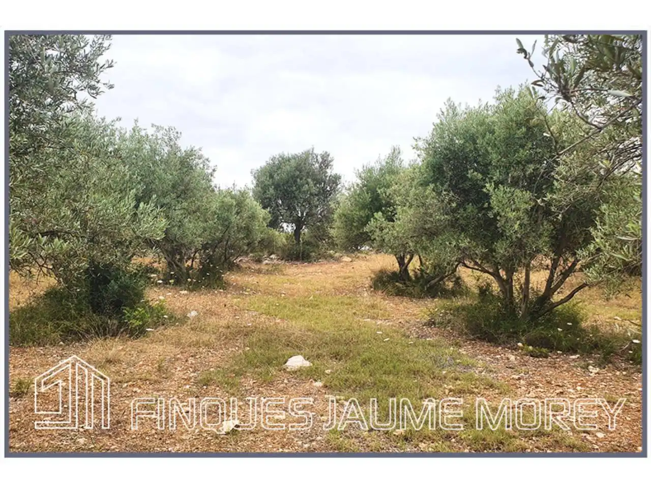 Terrain rustique à vendre à Poligono 10 S/N, imagen 4