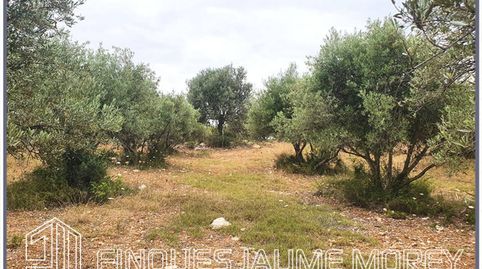 Terreno en venta en Selva, imatge 4