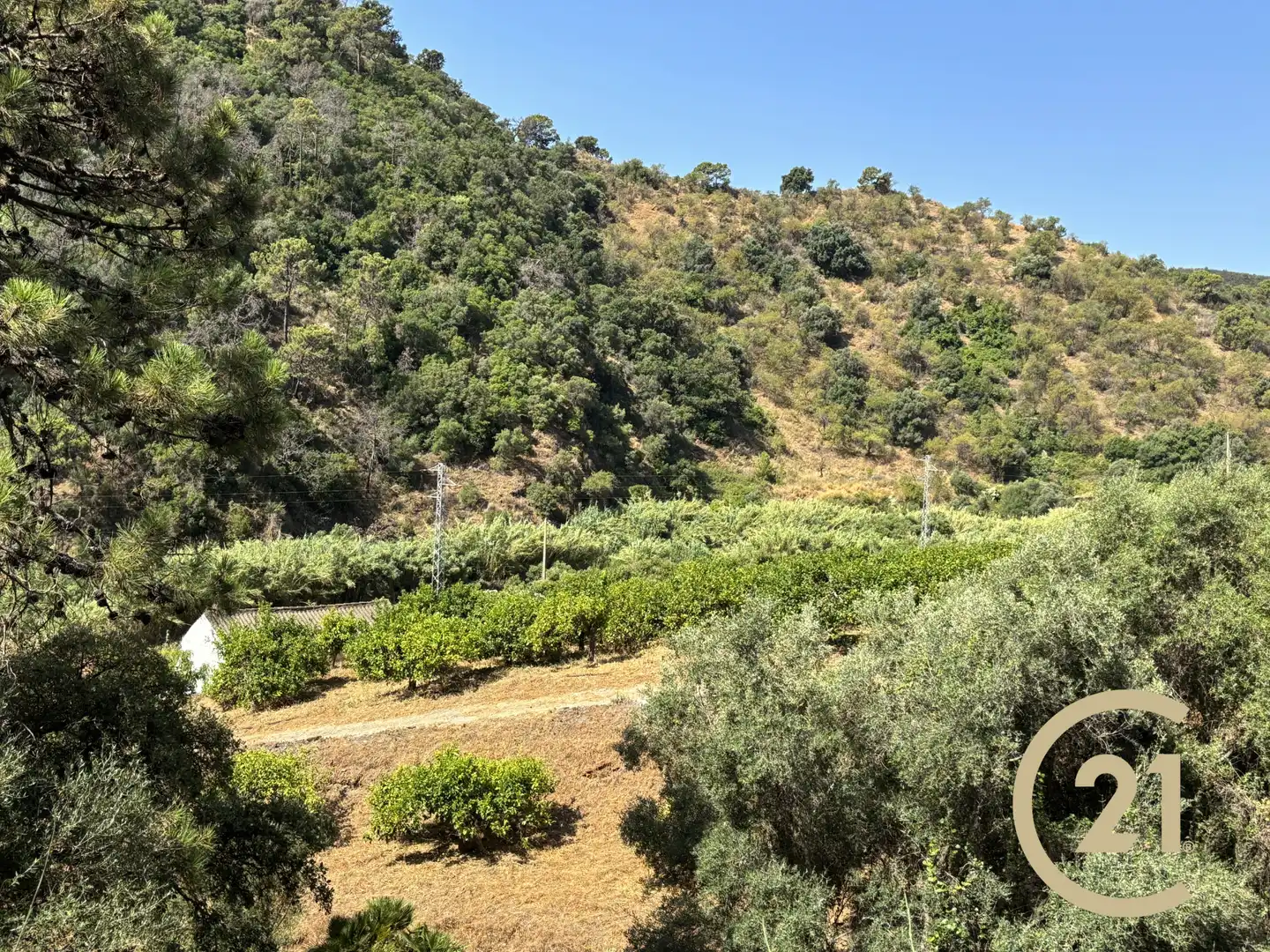 Exterior view of Land for sale in Estepona
