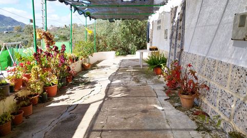 Foto 3 de Finca rústica en venta en Plaza la Fuente, 5, Periana, Málaga