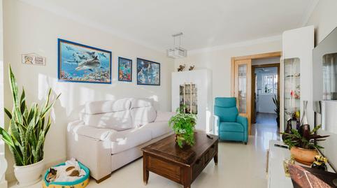 Foto 4 de Piso en venta en Teatinos, Málaga