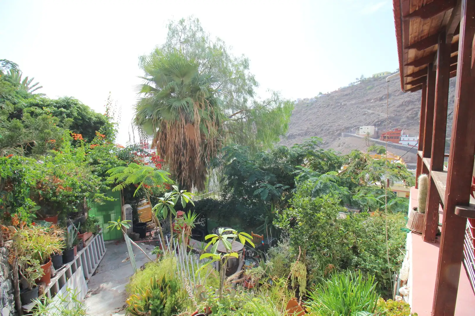 Jardín de Casa o chalet en venta en Alajeró con Jardín privado, Terraza y Trastero
