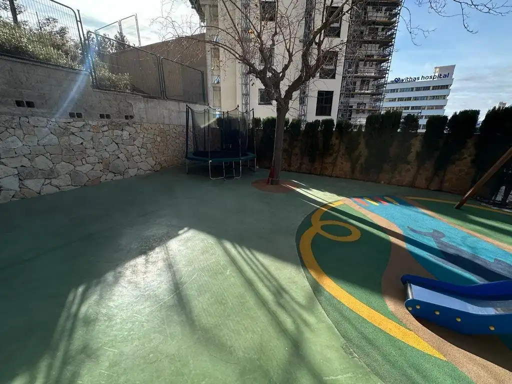 Pis amb terrassa en venda a Pla - Carolinas, imagen 16