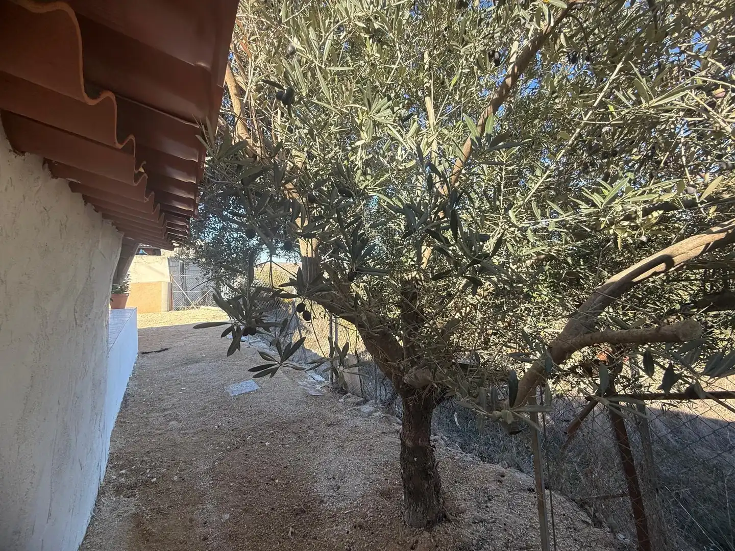 Jardí de Casa o xalet en venda en Cehegín amb Aire condicionat, Jardí privat i Terrassa