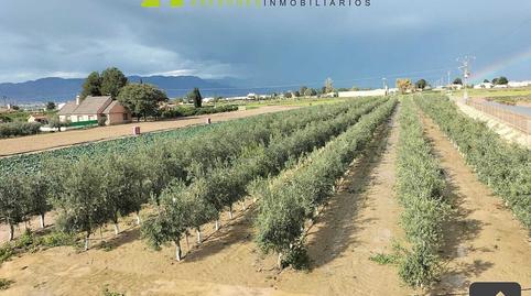 Foto 3 de Casa o chalet en venta en Camino Piñero, Aguaderas, Murcia