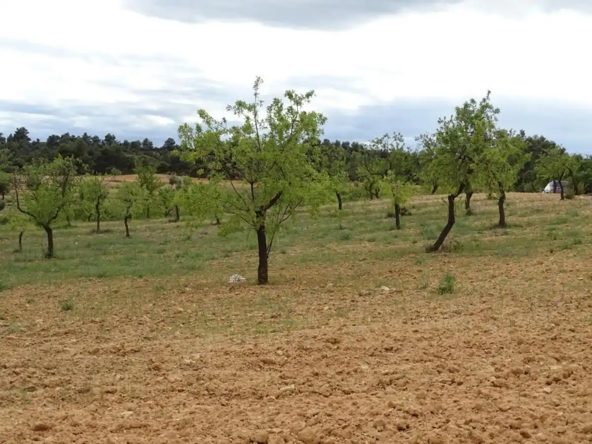Finca rústica en venta en Cretas