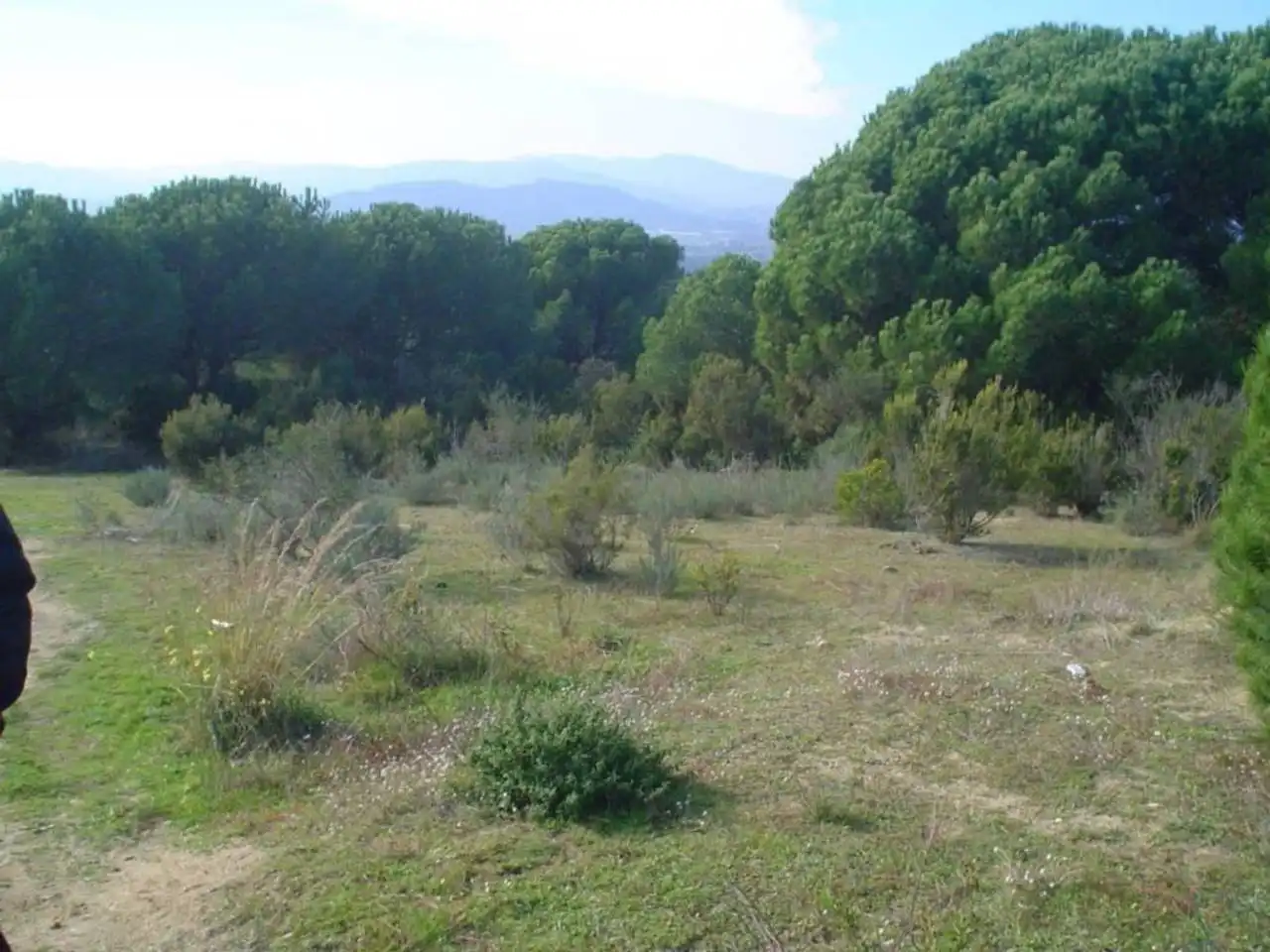 Rural land for sale in Calle JOAN ALCOVER, imagen 5