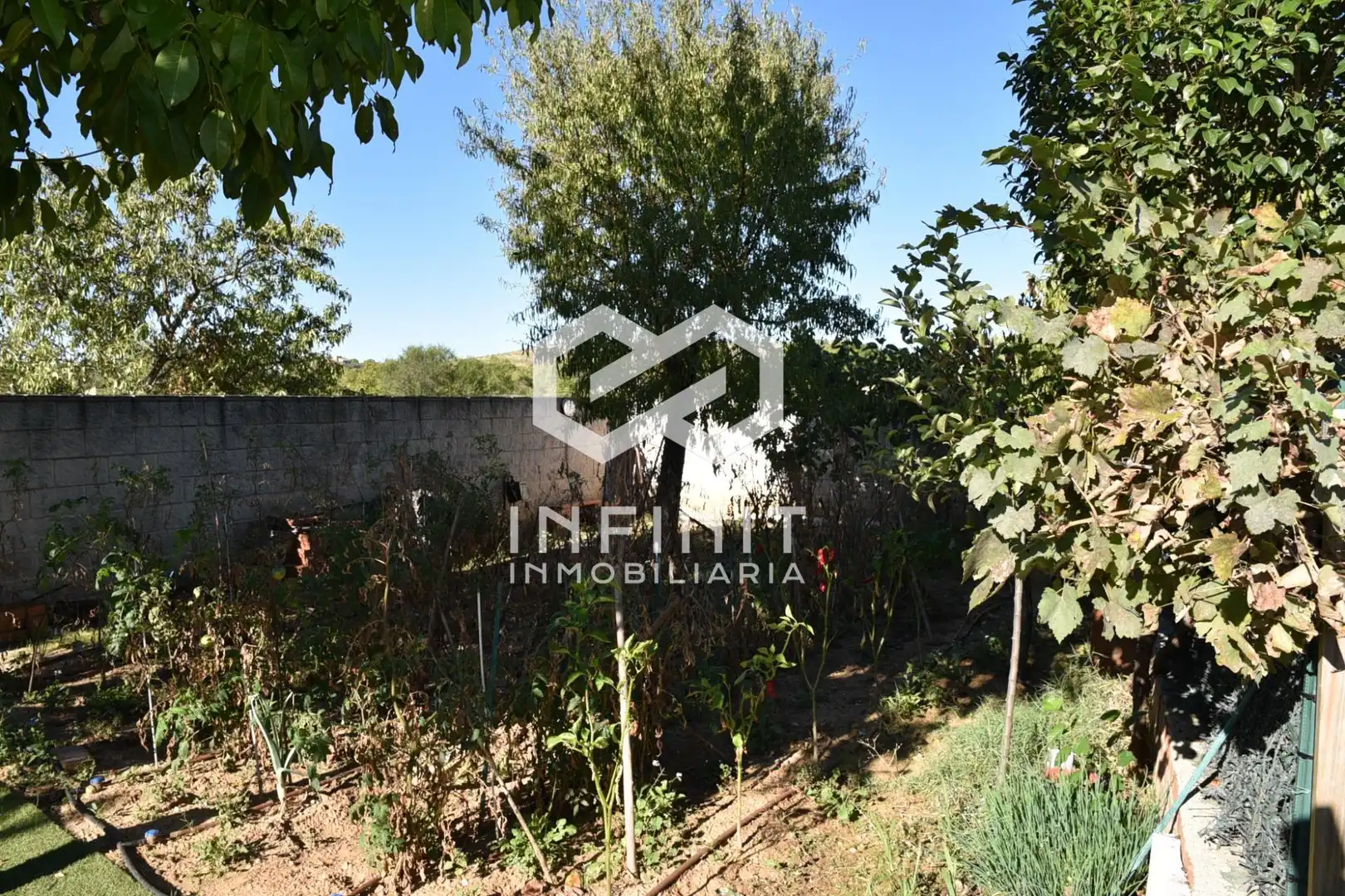 Houses for sale in Ribatejada, Madrid