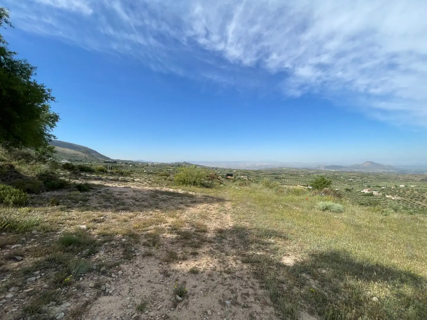 Terrenys i solars en venda a Cogollos de la Vega, imagen 11