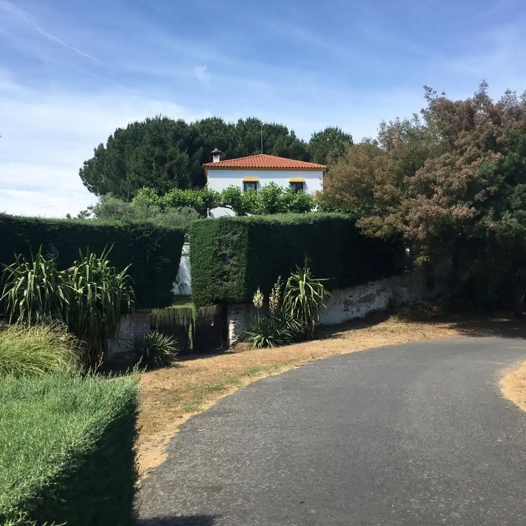 Vista exterior de Finca rústica en venda en Plasencia amb Aire condicionat, Calefacció i Jardí privat