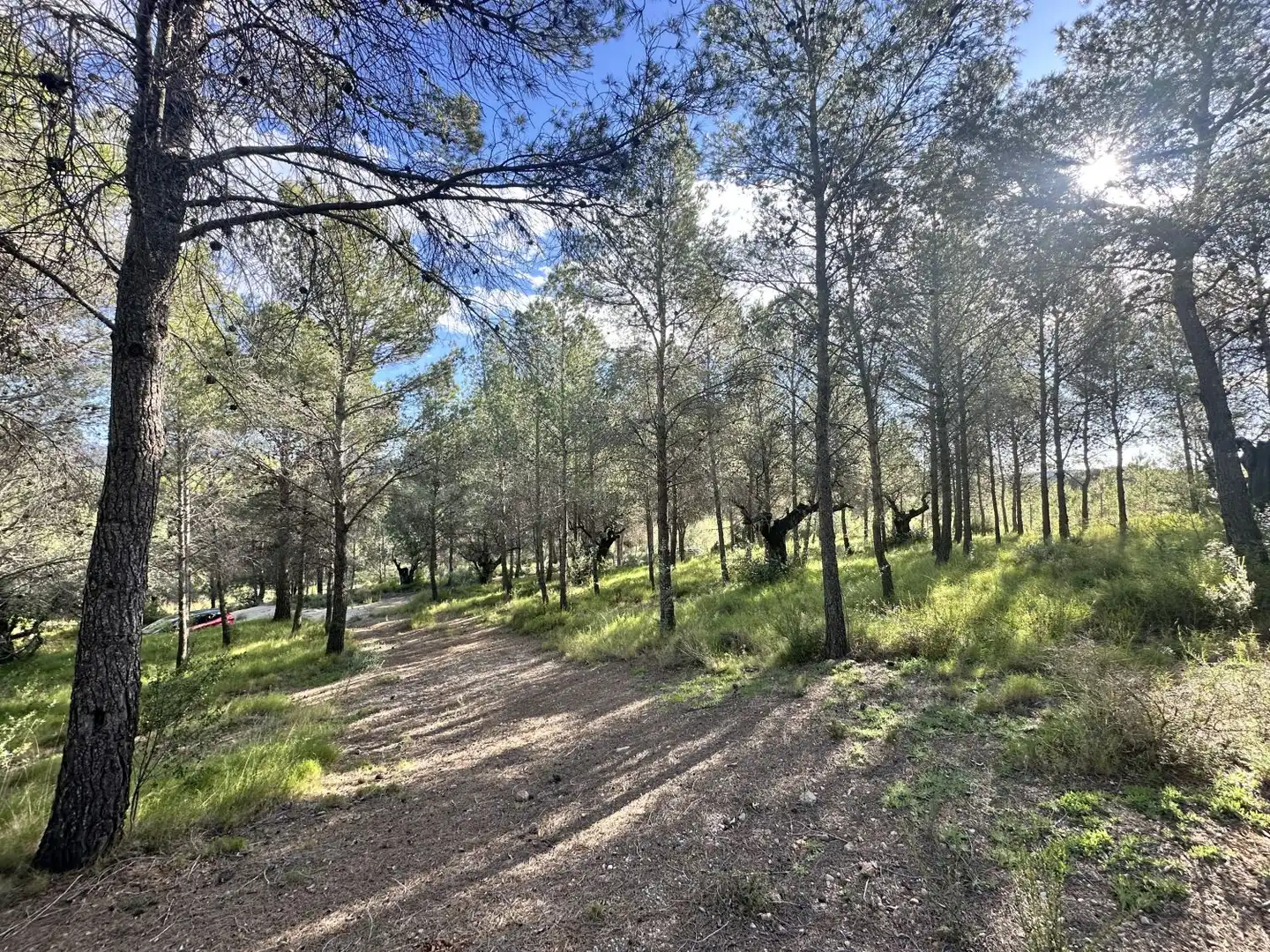 Terreny residencial en venda a Estivella, imagen 9