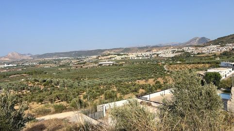 PARCELA EN VENTA EN ZONA URBANIZACION GOLF ANTEQUERA, immagine 4