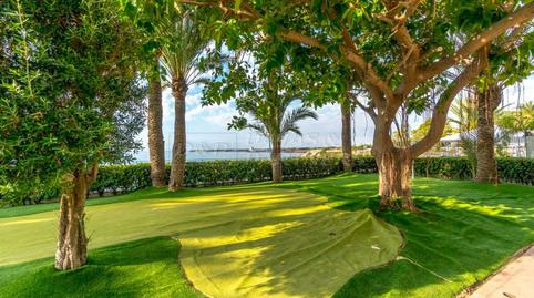 Foto 5 de Residencial en venta en Maritimo de Punta Prima, Punta Prima, Alicante