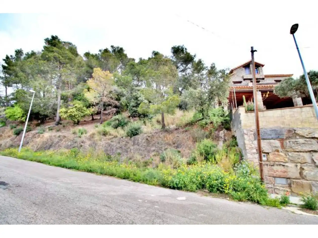 Rural land for sale in Calle Llosa, imagen 15