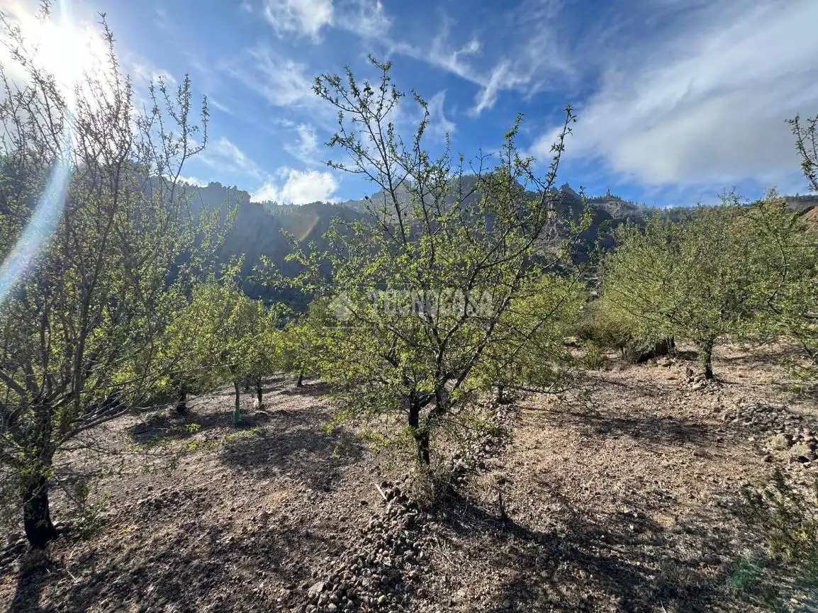 Terreno en venta en San Bartolomé Interior