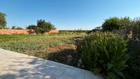 Garden of Country house for sale in El Burgo de Ebro  with Private garden, Storage room and Swimming Pool